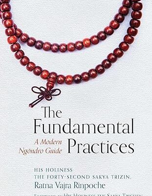 خرید و دانلود نسخه کامل کتاب The Fundamental Practices: A Modern Ngondro Guide – + Pdf