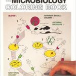 خرید و دانلود نسخه کامل کتاب The Microbiology Coloring Book –  Pdf