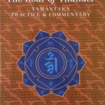 خرید و دانلود نسخه کامل کتاب The Roar of Thunder: Yamantaka Practice and Commentary – Pdf