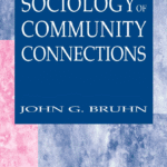 خرید و دانلود نسخه کامل کتاب The sociology of community connections –  PDF