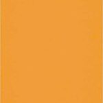 خرید و دانلود نسخه کامل کتاب The voice of the Master