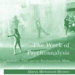 خرید و دانلود نسخه کامل کتاب The Work of Psychoanalysis Sexuality, Time and the Psychoanalytic Mind – Pdf