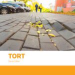 خرید و دانلود نسخه کامل کتاب Tort (Textbook Series)(7th Edition) BY Paula Giliker –  +  pdf