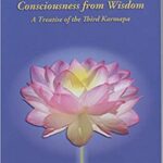 خرید و دانلود نسخه کامل کتاب Transcending Ego: Distinguishing Consciousness from Wisdom –  +  pdf