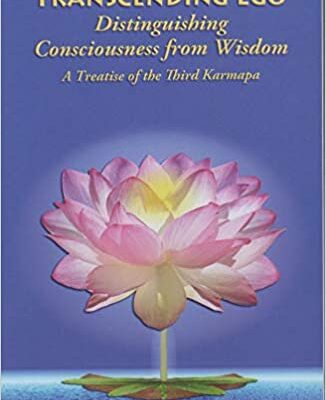 خرید و دانلود نسخه کامل کتاب Transcending Ego: Distinguishing Consciousness from Wisdom –  +  pdf
