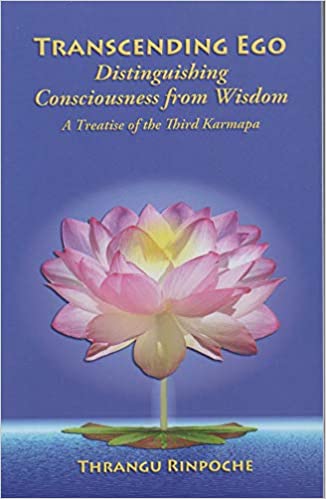 خرید و دانلود نسخه کامل کتاب Transcending Ego: Distinguishing Consciousness from Wisdom – + pdf_683bc9a8bf0a5.jpeg خرید و دانلود نسخه کامل کتاب Transcending Ego: Distinguishing Consciousness from Wisdom – + pdf