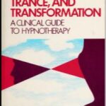 خرید و دانلود نسخه کامل کتاب Trauma, trance, and transformation : a clinical guide to hypnotherapy –  Pdf
