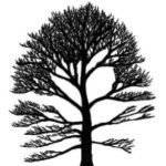خرید و دانلود نسخه کامل کتاب Tree automata techniques and applications