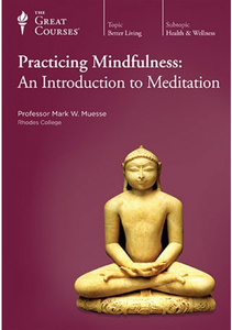 خرید و دانلود نسخه کامل کتاب TTC Video – Practicing Mindfulness: An Introduction to Meditation