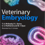 خرید و دانلود نسخه کامل کتاب Veterinary Embryology – PDF