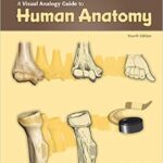 خرید و دانلود نسخه کامل کتاب Visual Analogy Guide to Human Anatomy (4th Edition) –  PDF