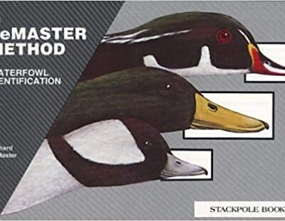 خرید و دانلود نسخه کامل کتاب Waterfowl Identification: The LeMaster Method –  +  pdf