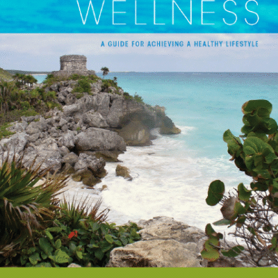 خرید و دانلود نسخه کامل کتاب Wellness A Guide for Achieving a Healthy Lifestyle – PDF