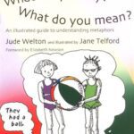 خرید و دانلود نسخه کامل کتاب What Did You Say? What Do You Mean?: An Illustrated Guide to Understanding Metaphors – PDF