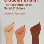 خرید و دانلود نسخه کامل کتاب What Makes a Social Crisis?: The Societalization of Social Problems –  PDF
