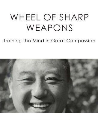 خرید و دانلود نسخه کامل کتاب Wheel of Sharp Weapons –  +  pdf