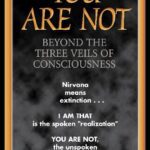 خرید و دانلود نسخه کامل کتاب You Are Not: Beyond the Three Veils of Consciousness –  PDF