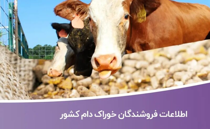 خرید و دانلود بانک اطلاعات فروشندگان خوراک دام کشور - تصویر 1