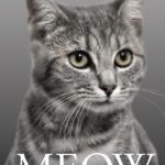 خرید و دانلود کتاب Meow (رمان میو) PDF پی دی اف