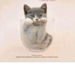 خرید و دانلود کتاب Meow: I Love Cats