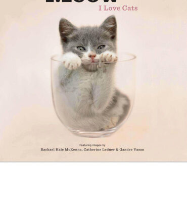 خرید و دانلود کتاب Meow: I Love Cats