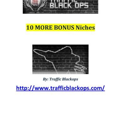 خرید و دانلود نسخه کامل کتاب 10 more bonus niches