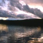 خرید و دانلود نسخه کامل کتاب 3ds Max 2011 Bible – 3D Models