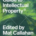 خرید و دانلود نسخه کامل کتاب A Critical Guide to Intellectual Property