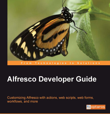 خرید و دانلود نسخه کامل کتاب Alfresco Developer Guide