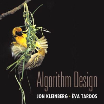خرید و دانلود نسخه کامل کتاب Algorithm Design