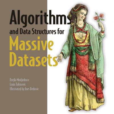 خرید و دانلود نسخه کامل کتاب Algorithms and Data Structures for Massive Datasets