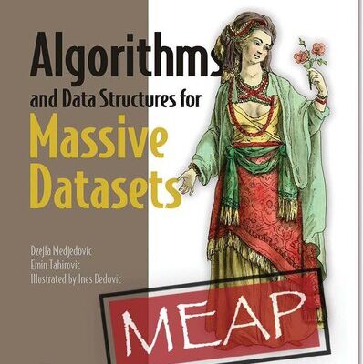 خرید و دانلود نسخه کامل کتاب Algorithms and Data Structures for Massive Datasets