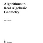 خرید و دانلود نسخه کامل کتاب Algorithms in Real Algebraic Geometry