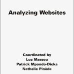 خرید و دانلود نسخه کامل کتاب Analyzing Websites