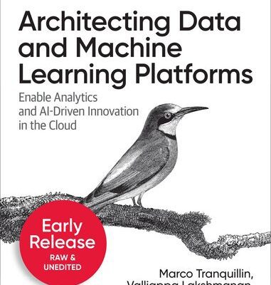 خرید و دانلود نسخه کامل کتاب Architecting Data and Machine Learning Platforms (Second Early Release)