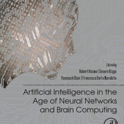 خرید و دانلود نسخه کامل کتاب Artificial Intelligence in the Age of Neural Networks and Brain Computing
