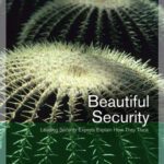 خرید و دانلود نسخه کامل کتاب Beautiful security