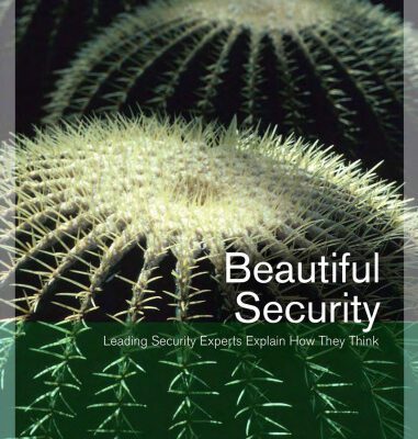 خرید و دانلود نسخه کامل کتاب Beautiful security