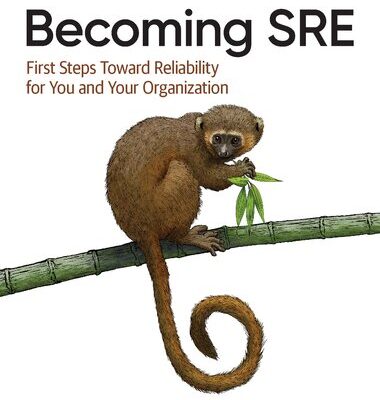 خرید و دانلود نسخه کامل کتاب Becoming Sre: First Steps Toward Reliability for You and Your Organization