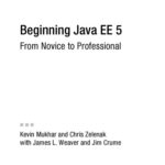 خرید و دانلود نسخه کامل کتاب Beginning Java EE 5