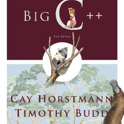 خرید و دانلود نسخه کامل کتاب Big C++