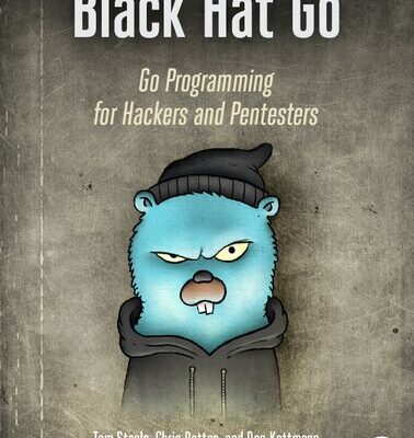 خرید و دانلود نسخه کامل کتاب Black Hat Go: Go Programming For Hackers and Pentesters