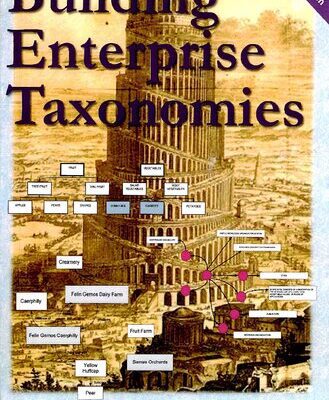 خرید و دانلود نسخه کامل کتاب Building Enterprise Taxonomies