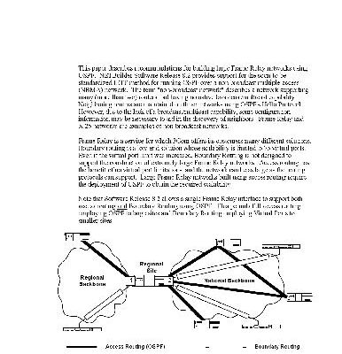 خرید و دانلود نسخه کامل کتاب Building Large Frame Relay Networks with OSPF Summary