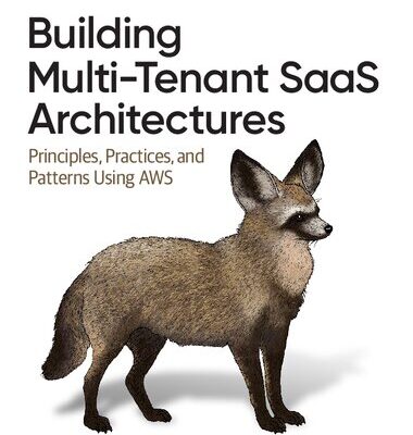 خرید و دانلود نسخه کامل کتاب Building Multi-Tenant SaaS Architectures: Principles, Practices, and Patterns Using AWS