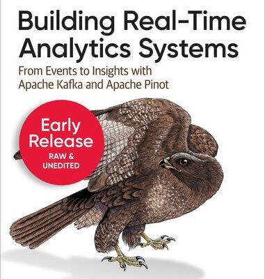 خرید و دانلود نسخه کامل کتاب Building Real-Time Analytics Systems (6th Early Release)
