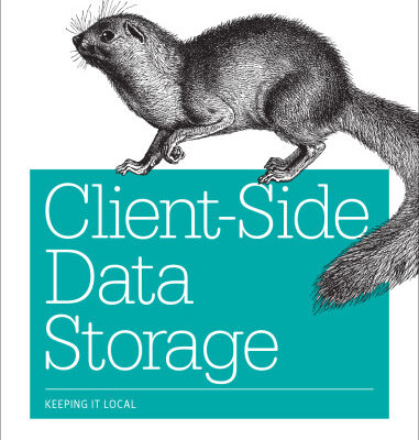 خرید و دانلود نسخه کامل کتاب Client-Side Data Storage: Keeping It Local