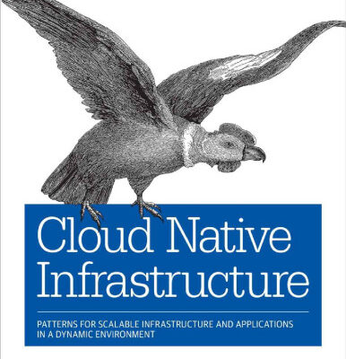 خرید و دانلود نسخه کامل کتاب Cloud Native Infrastructure: Patterns for Scalable Infrastructure and Applications in a Dynamic Environment