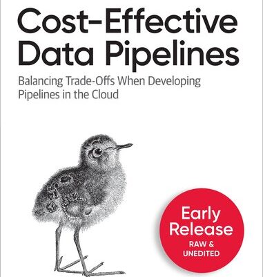 خرید و دانلود نسخه کامل کتاب Cost-Effective Data Pipelines