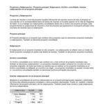 خرید و دانلود نسخه کامل کتاب Curso de Microsoft Project Gratis: Proyectos y Subproyectos